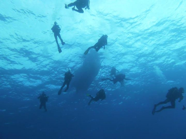 salida de buceo.jpg